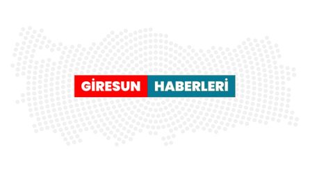 Giresun’da uyuşturucu operasyonunda gözaltına alınan şüpheli tutuklandı