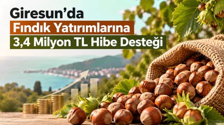 Giresun’da fındık yatırımlarına 3,4 milyon TL hibe desteği!